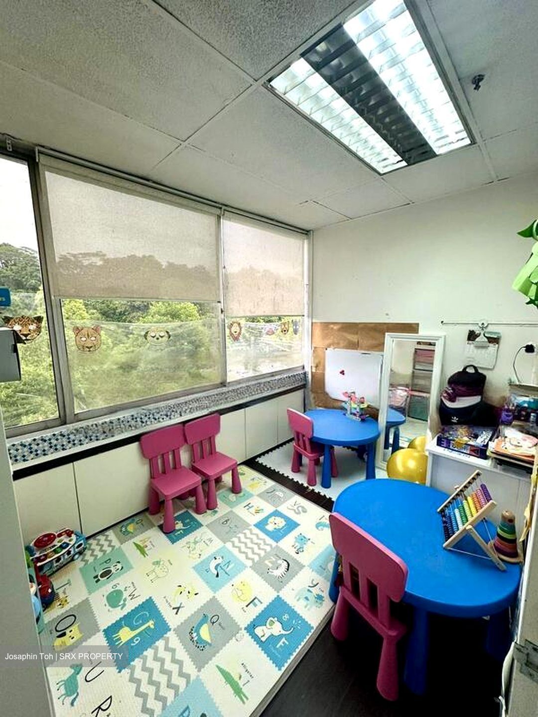 Bukit Timah Shopping Centre (D21), Shop House #476317641